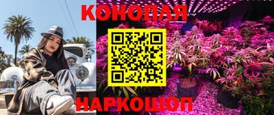 эйфоретик Заводоуковск