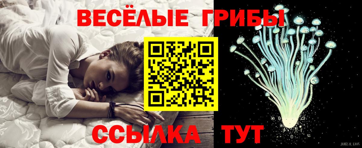 Саров  Псилоцибиновые грибы Psilocybe  Псилоцибиновые грибы прущие грибы  Вход с VPN 